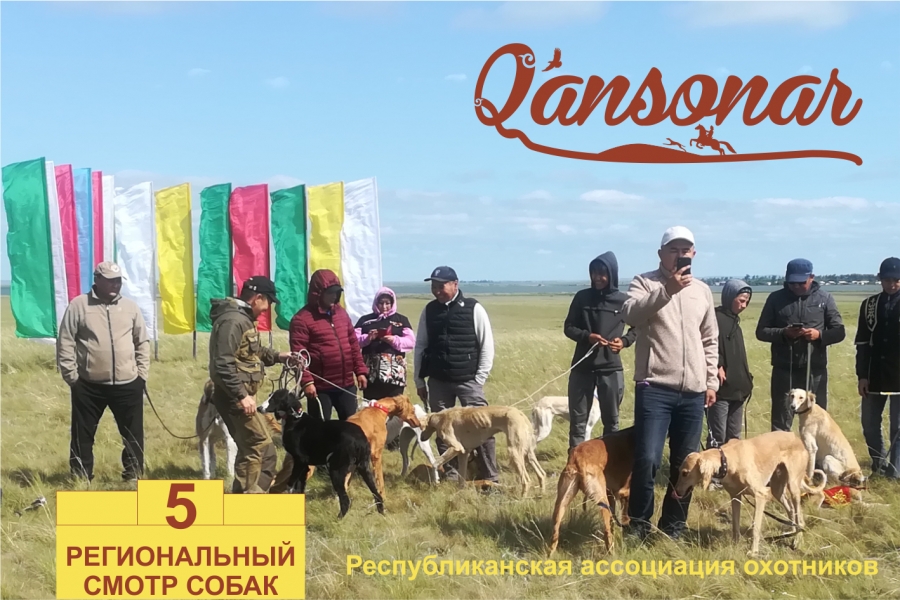 Пятый региональный смотр собак прошел в Осакаровском районе Карагандинской области