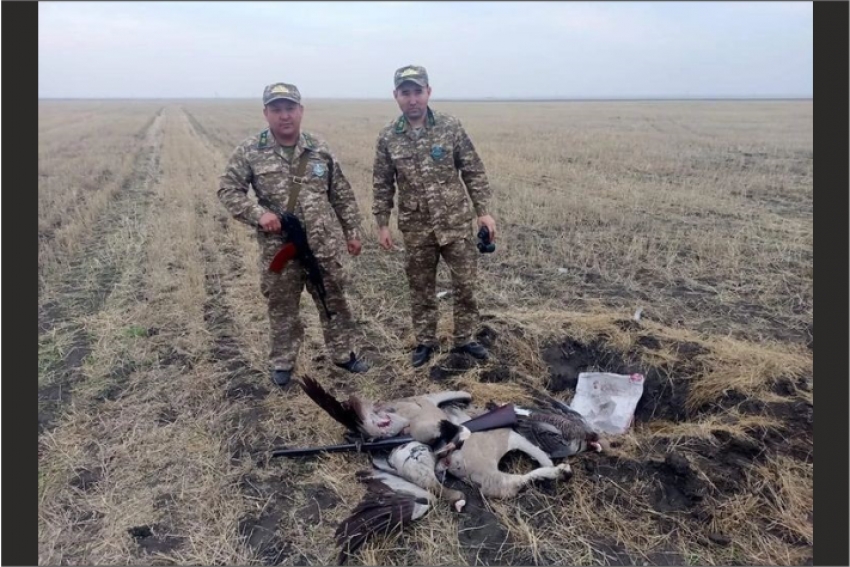 Факт незаконной охоты на краснокнижных журавлей зарегистрирован в Федоровском районе