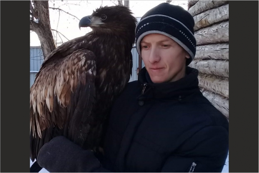 На севере Казахстана сельчанин спас краснокнижного орла