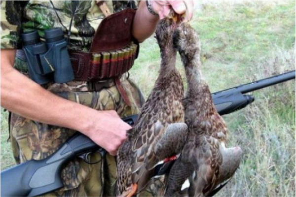 В Казахстане вводится запрет на весеннюю охоту