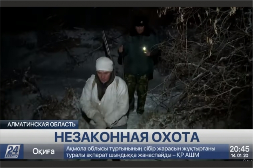 Рейд по выявлению фактов незаконной охоты провели в Алматинской области