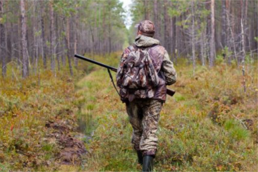 Почему браконьеры готовы убивать - мнение Ассоциации охотников