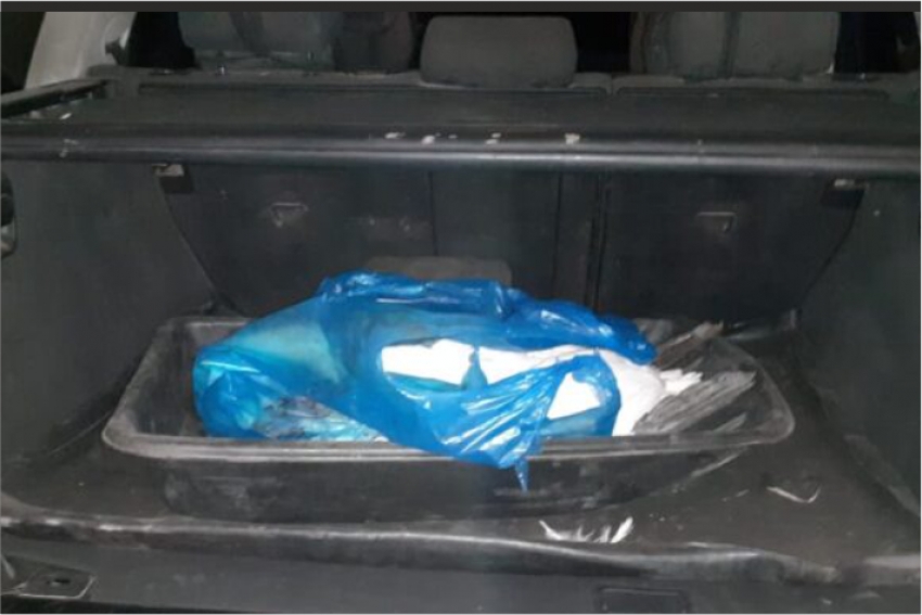 Убитого лебедя нашли в багажнике у североказахстанца