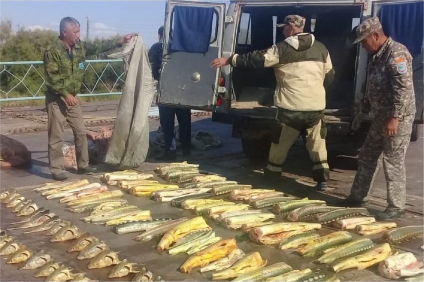В Атырауской области задержаны браконьеры с 320 кг рыбы