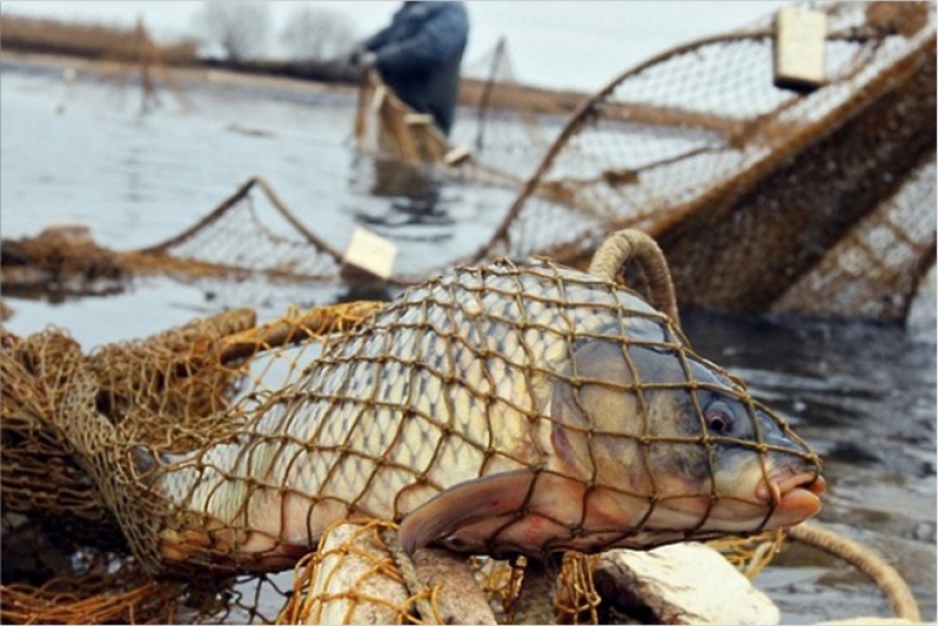 Запрет на промысловый лов в Костанайской области будет введен с 20 марта, а на любительский – с 15 апреля