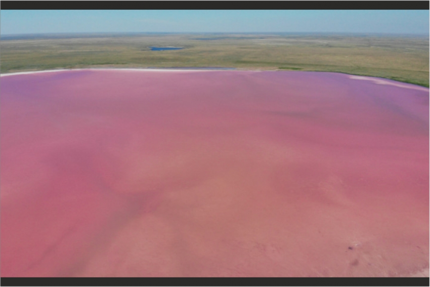 Вывозивших соль с розового озера Кобейтуз хотят наказать
