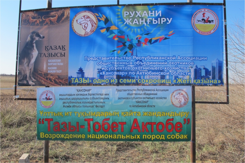 Смотр  национальных и охотничьих пород собак в Актюбинской области