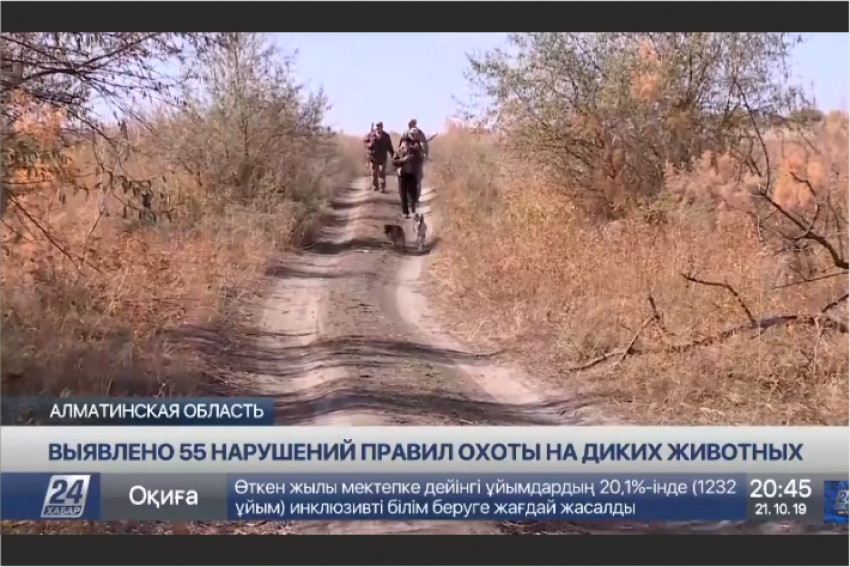 55 нарушений правил охоты на диких животных выявлено в Алматинской области.