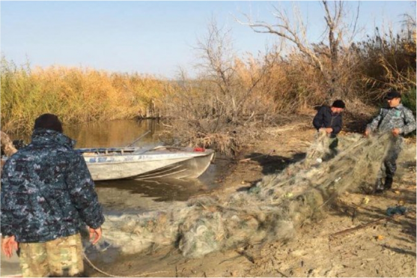 На Бухтарминском водохранилище и озере Зайсан нашли сети браконьеров