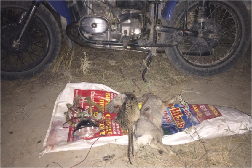 Во время ночного рейда полицейские в Туркестанской области поймали с поличным браконьеров