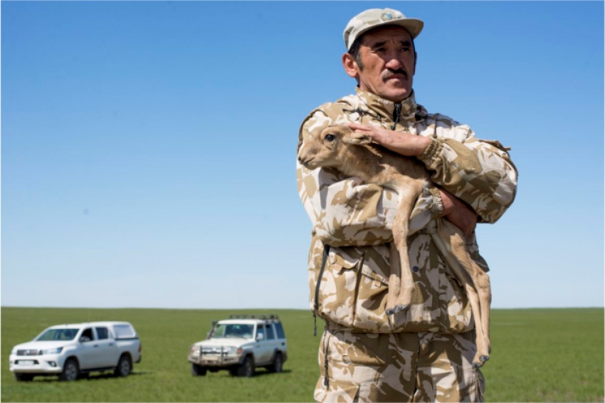 Портрет убитого браконьерами инспектора появился на одном из домов в Алматы