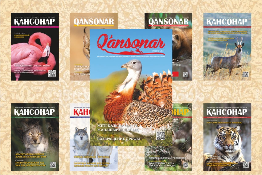 Свежий выпуск журнала Qansonar уже в продаже