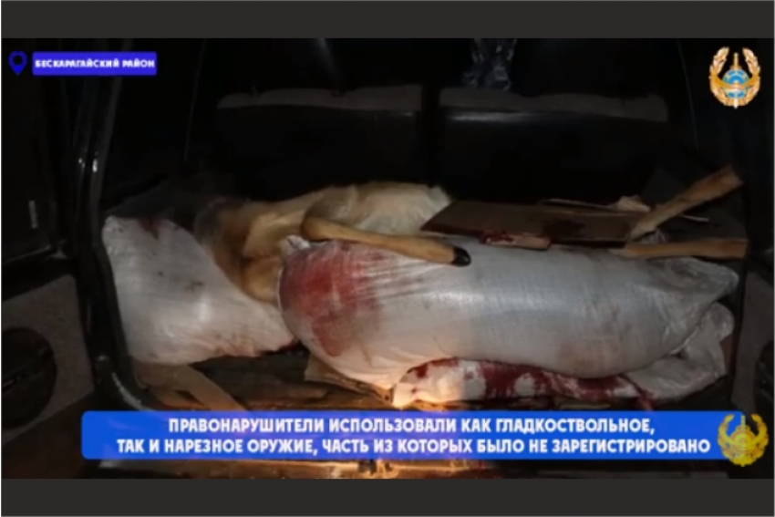 &quot;Охота&quot; на браконьеров объявлена в Восточном Казахстане