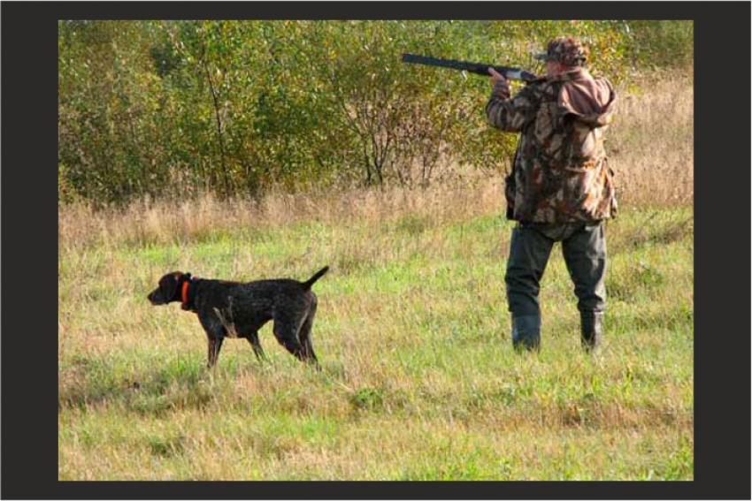 5 сентября открывается осенний сезон охоты в Павлодарской области