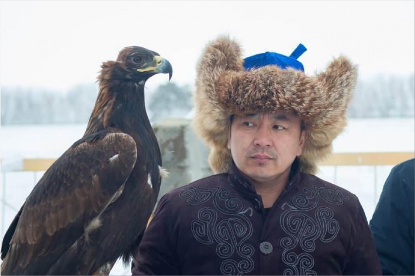 Чемпионат Казахстана по охоте с ловчими птицами проходит в СКО