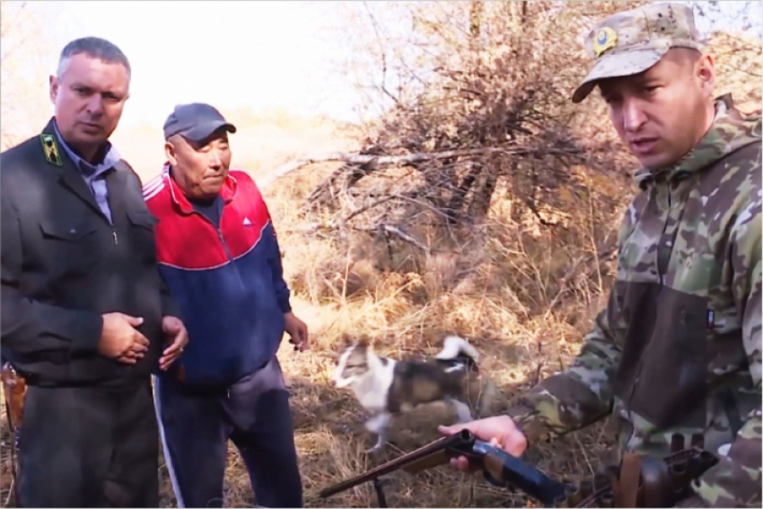 Подозреваемого в браконьерстве жителя Алматинской области признали виновным