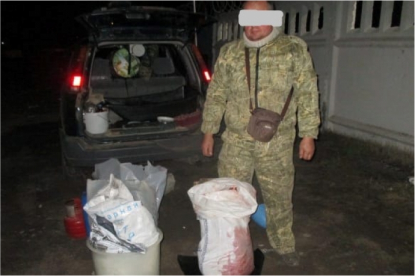 Браконьера с тушей косули задержали в Павлодарской области