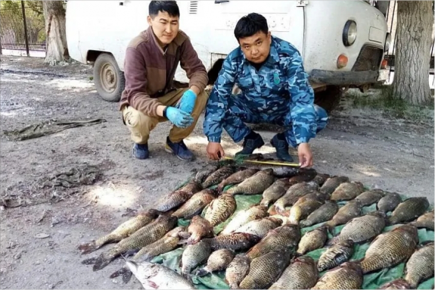 На озере Балыктыколь задержали браконьера