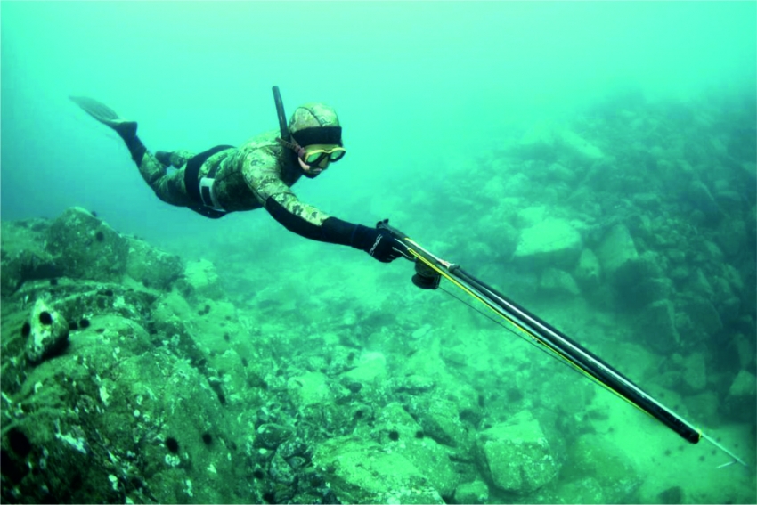 Подводная охота: советы начинающим и необходимое снаряжение.
