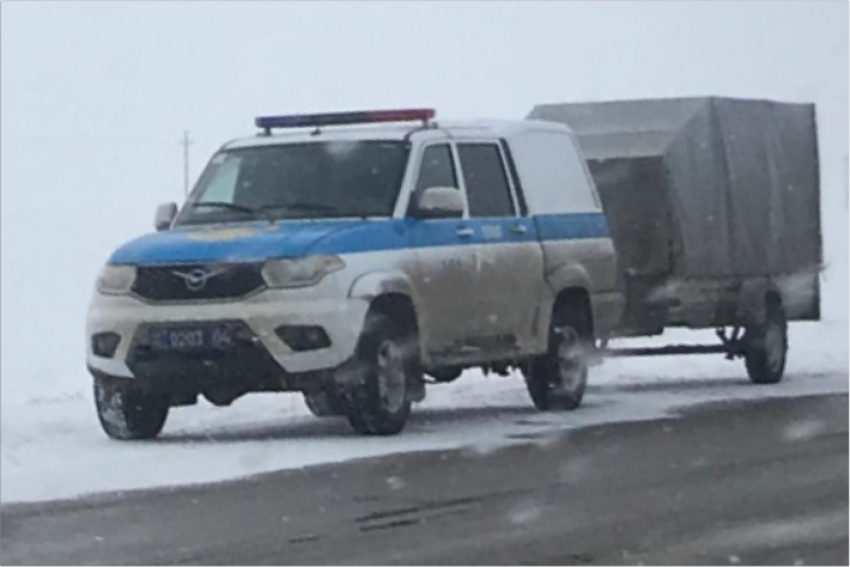 Незаконных охотников на сайгу задержали в Актюбинской области